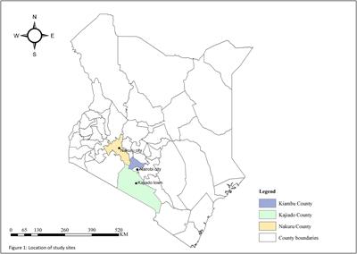 Young women’s and men’s climate adaptation practices and capacities in Kenya livestock production systems